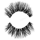 Brat Glamnetic